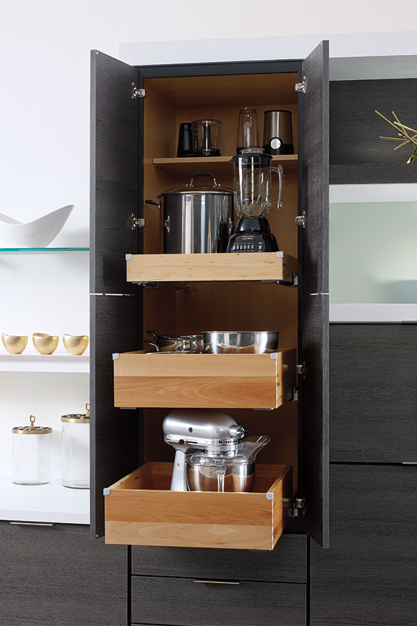 Schrock shop pantry cabinet