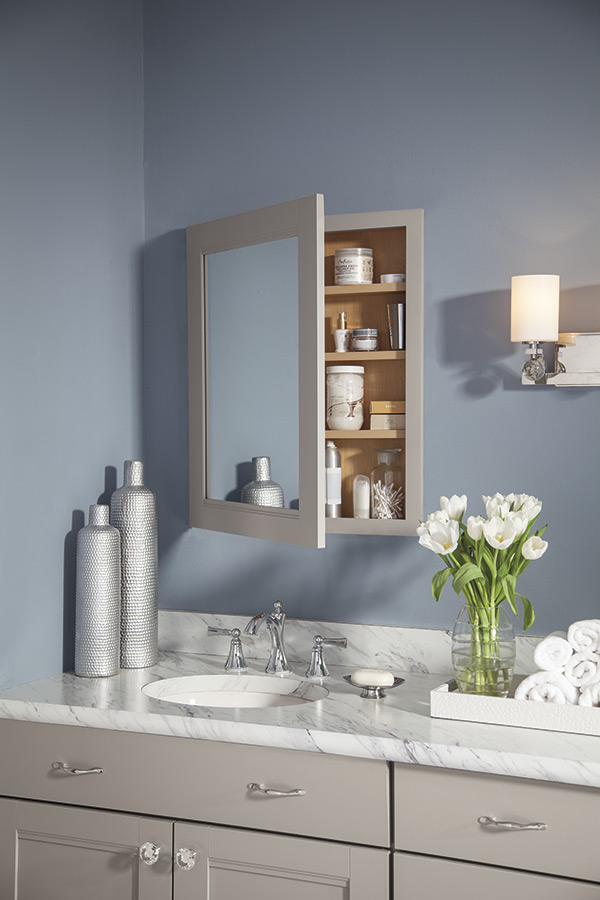 Vanity Wall Mirror Cabinet Schrock, In Wall Vanity Mirror Cabinet