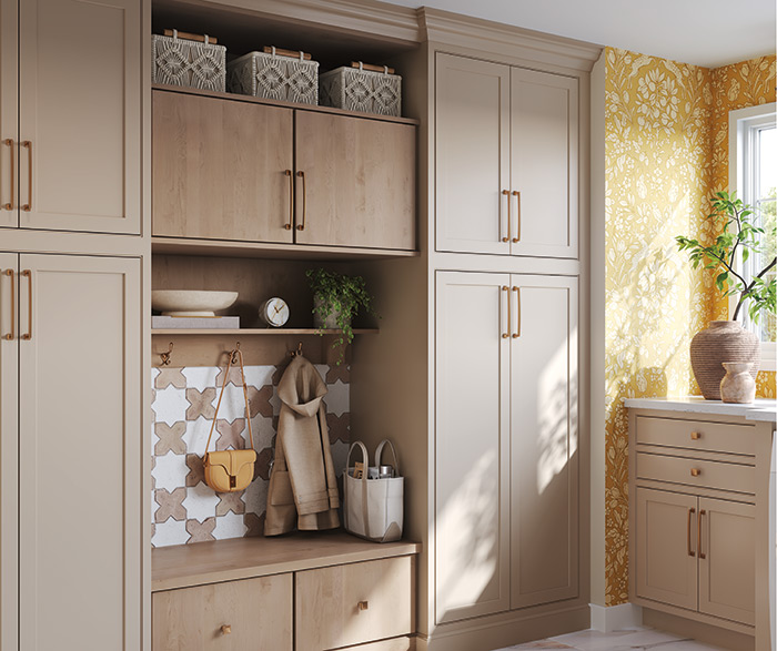 Multifunctional Laundry Room